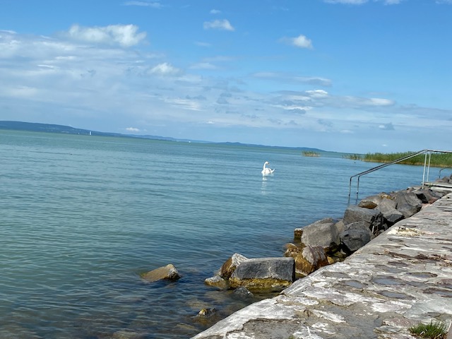 Balaton saját