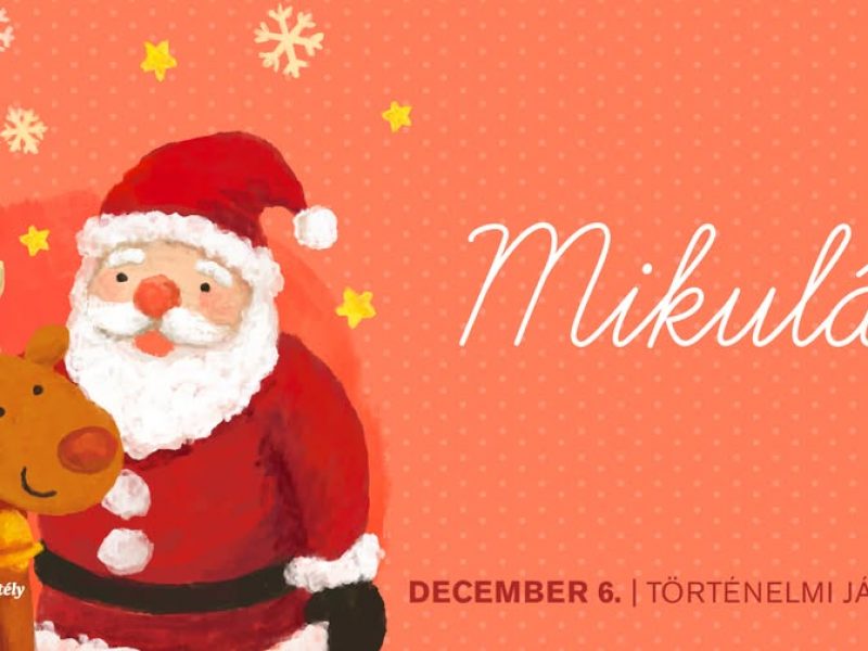 564665410_1218082293687059_1243110116326275364_n