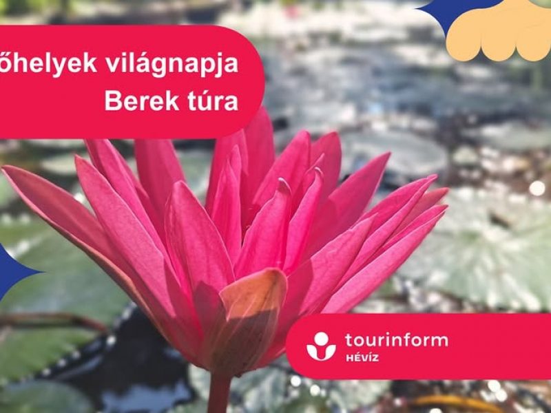 622323160_1804039210416490_5685875034705403505_n