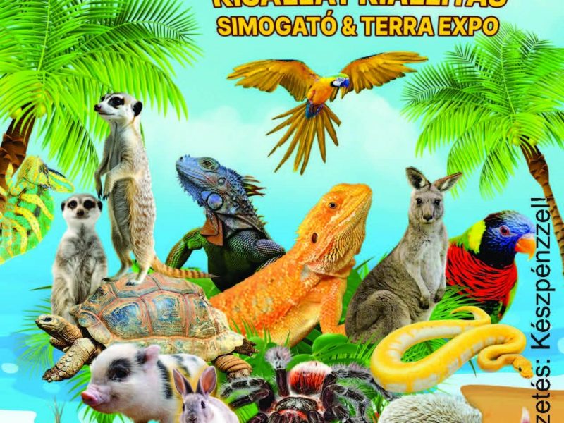 634476998_122216120336282230_5730482843075375171_n